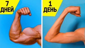Как Накачать Руки | Упражнения для Рук | Лучшая Домашняя Тренировка для Рук