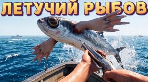 ЛЕТУЧИЙ РЫБОВ ( UMIGARI )