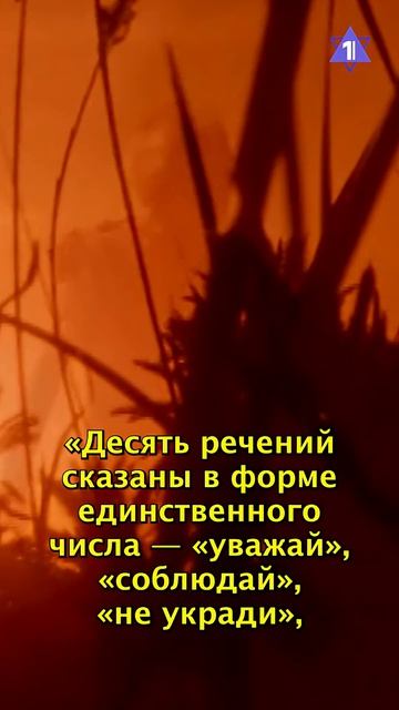 Недельная глава Торы // «Ваэтханан»