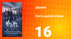 Кость дикой собаки 16 серия