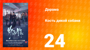 Кость дикой собаки 24 серия