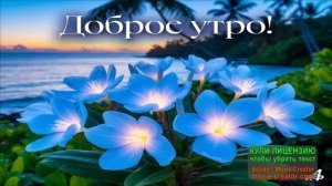 ДОБРОЕ СИМПАТИЧНОЕ УТРО ВОСКРЕСНОГО ДНЯ!