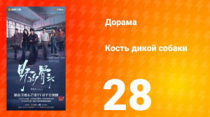 Кость дикой собаки 28 серия