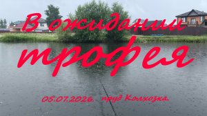 В ожидании трофея. 05.07.2026. пруд Колхозка. Рыбалка в Московской области.