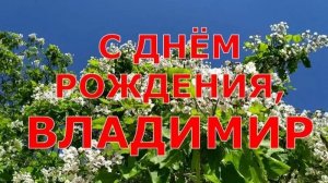 С днём рождения, Владимир!