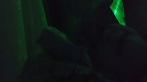 кто круче six seven или Грей посмедузис