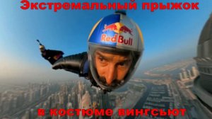 Сумасшедший прыжок в вингсьюте Red Bull #redbull #экстрим