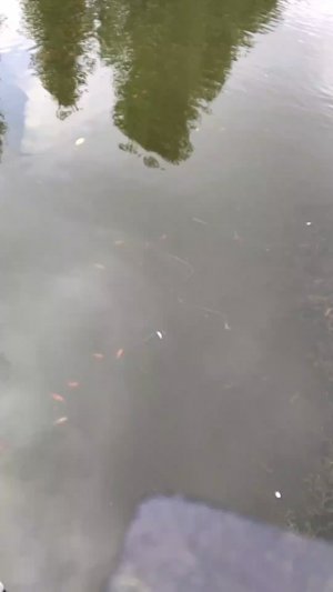 мы на празднике на военно-морском флоте