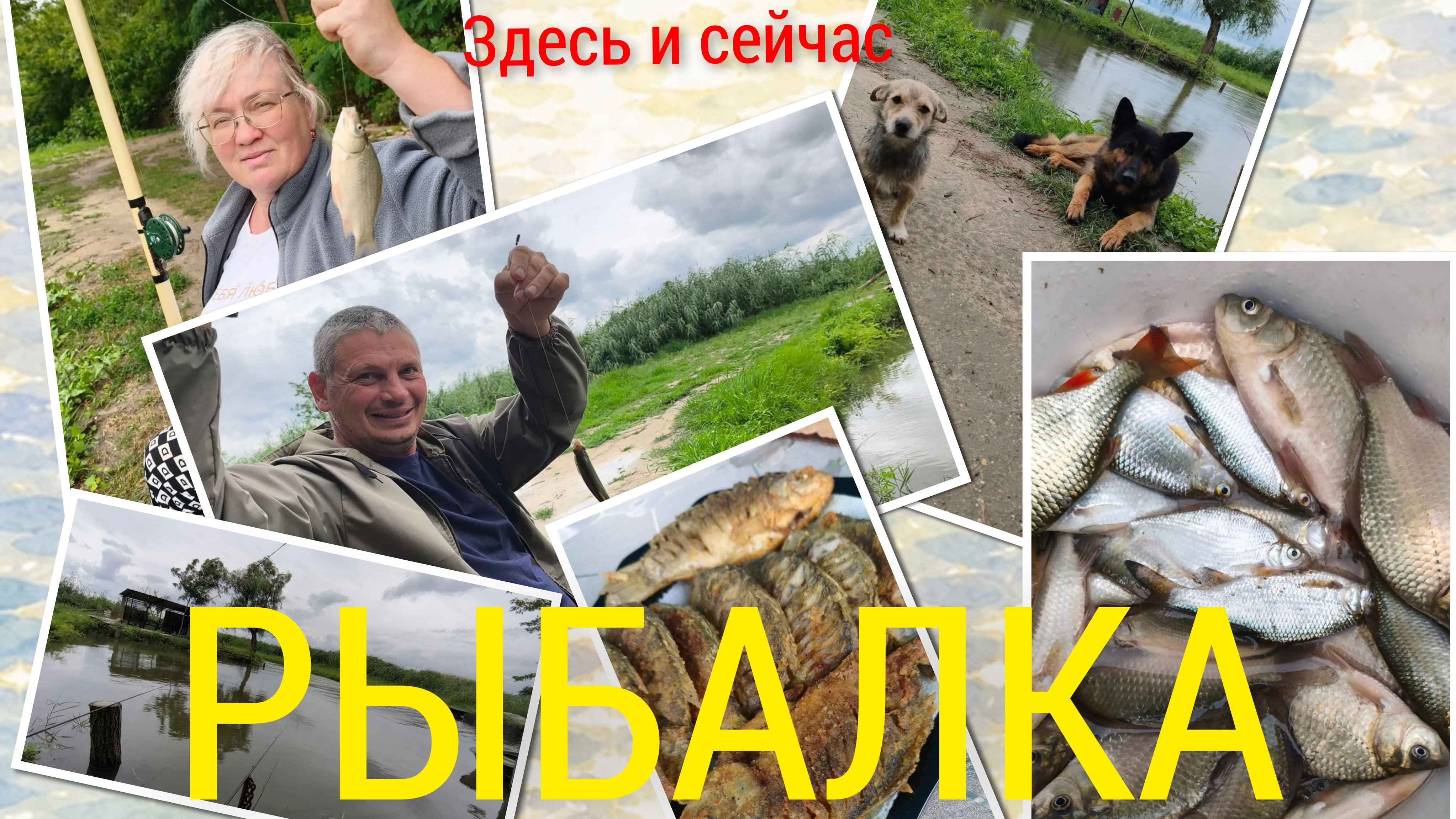 Рыбалка.Шумел камыш , деревья гнулись.