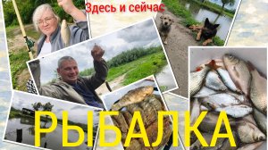 Рыбалка.Шумел камыш , деревья гнулись.