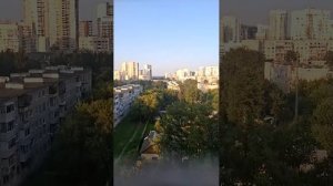хз чо писать это мой первый стрим
