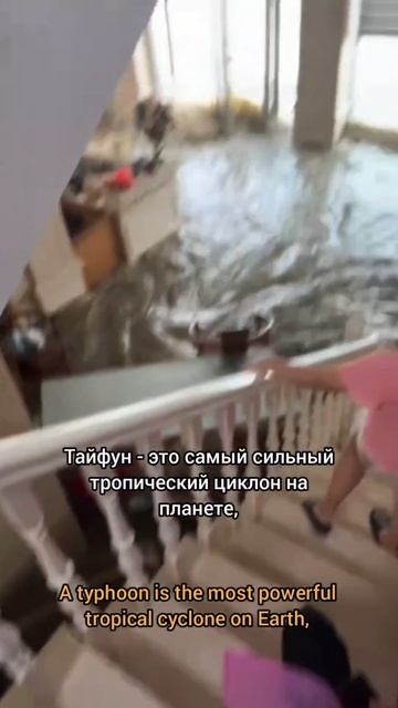 Тайфун на юге Китая.
#тайфун #китай #жизньвкитае #жизньвгонконге #гонконг #шэньчжэнь #азия #смерч