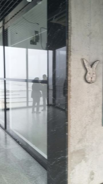 Светлогорск. Смотровая площадка 