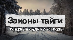 Закон лесного братства | таежные истории