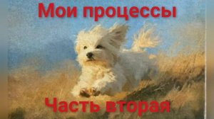 19. Все мои начатые процессы на июль 2026 г_Часть вторая