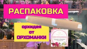 Распаковка редкой орхидеи от Орхоманки