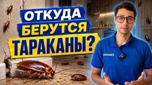 Откуда берутся тараканы в квартире?