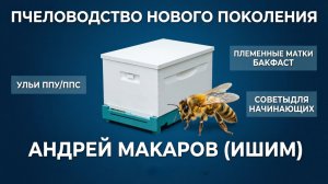 Андрей Макаров: Всё о моих ульях и работе с Бакфастом