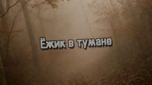 Ёжик в тумане