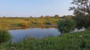 как дела #надаче# прогулялись к реке 25.07.26