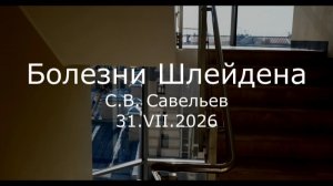 С.В. Савельев - Болезни Шлейдена