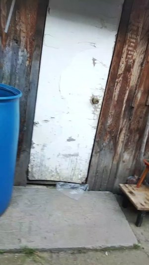 гуляем