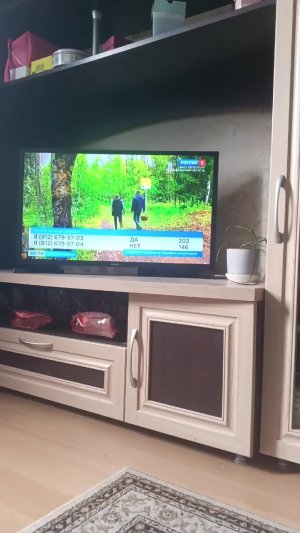 Звоните прямо сейчас проголосовать по телефону 88126795703 и Вы Ходите за Грибами вы Эфир с 11:55