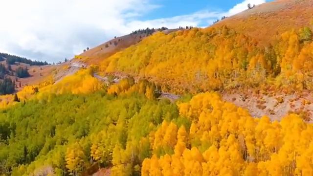 Одно из миллиарда мгновений природы, лучшее из 2026 года смотреть онлайн