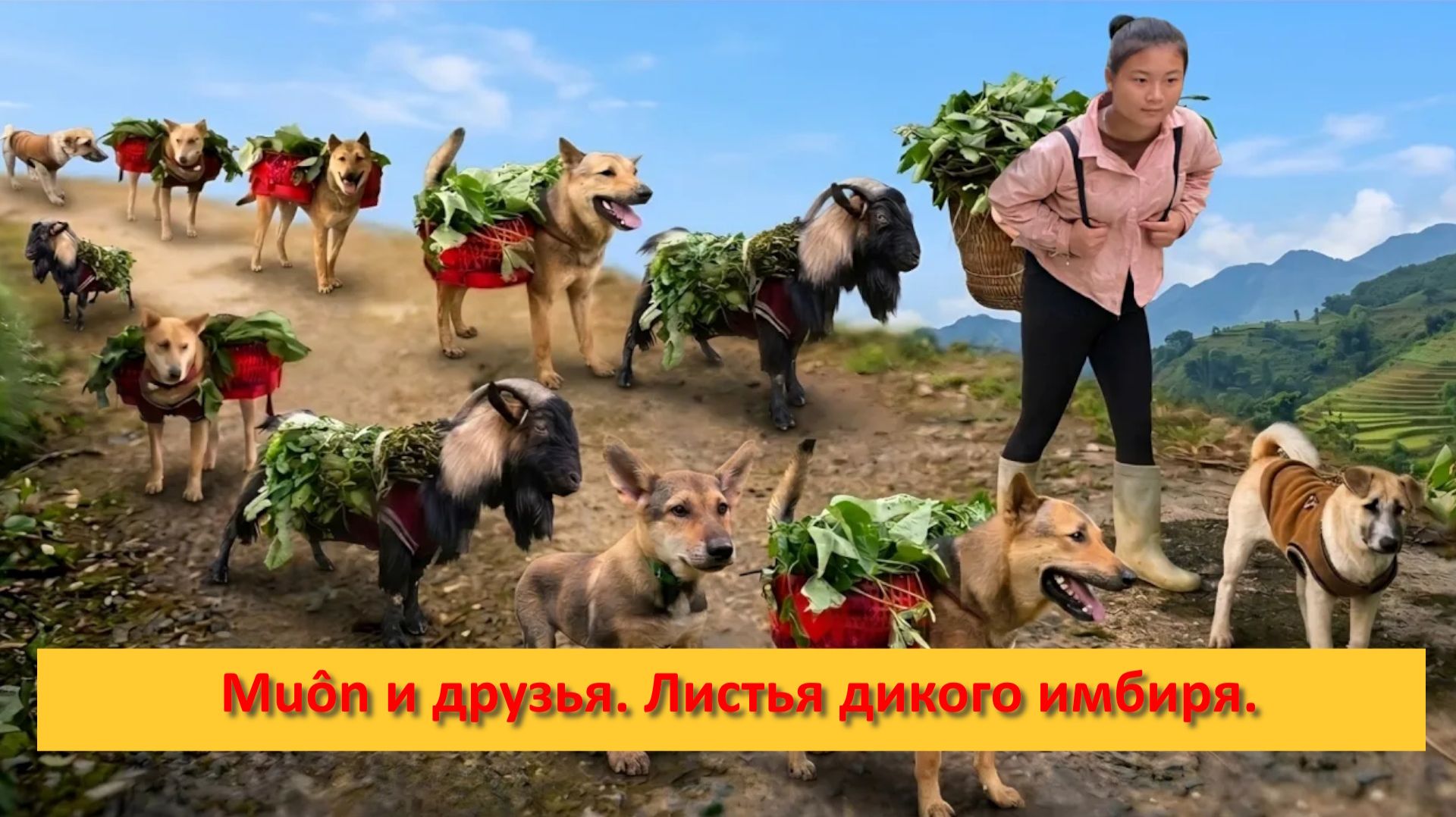 Muôn и друзья из Вьетнама. Листья дикого имбиря. смотреть онлайн