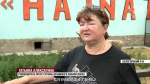 Редкие белые львы и краснокнижные амурские тигры родились в зоопарке Крыма