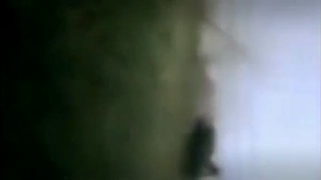 Эдит на торнадо смотреть онлайн