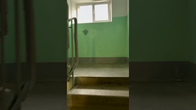 49725.mp4 смотреть онлайн