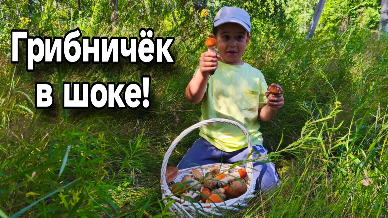 "Сын набрал больше папы! Грибной ШОК" Семейный сбор грибов смотреть онлайн