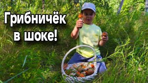 «Сын набрал больше папы! Грибной ШОК» Семейный сбор грибов