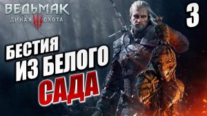 БЕСТИЯ ИЗ БЕЛОГО САДА | Ведьмак 3 / The Witcher 3: Wild Hunt | #3