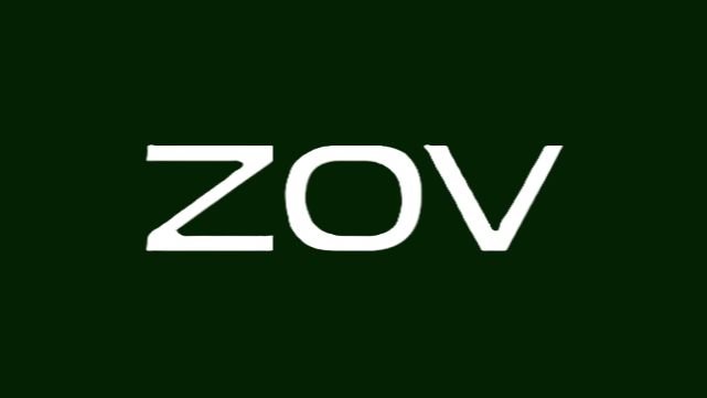 ZOV - MIX (БИТВА ZА ДОНБАСС VIDEO) (POP ROCK)2 смотреть онлайн
