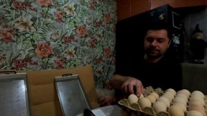 Купили яйцо бройлера, будем инкубировать.