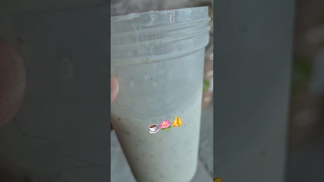 26.07.2026г моё утро