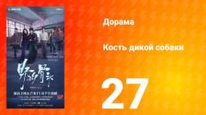 Кость дикой собаки 27 серия