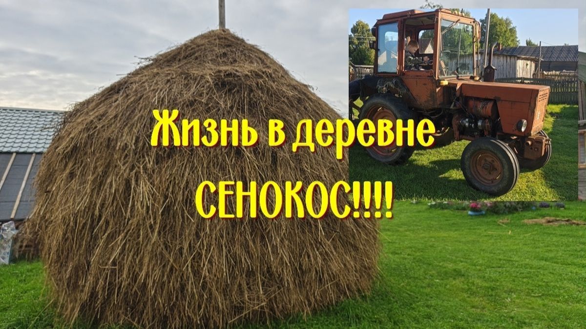 Хозяйство