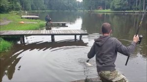 Поимки карпа на поплавочную снасть. Клёвое место, Лосиный остров, верхний водоём.