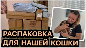 Готовимся встречать нашу кошку.Распаковка покупок для неё. Всё понравилось. Отвечаем на ваши вопросы