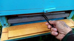 Пчеловодство.Экопол-не экопол )Почему у меня Экопол работает на 100.?