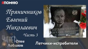 Пряничников Евгений Николаевич.  Часть 3. Проект «Я помню» Артема Драбкина. Летчики истребители.