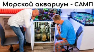 Морской аквариум - самп