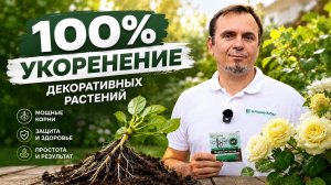 Время черенковать. Вам поможет Корнесил Экстра