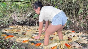 Девушка из деревни мастерски ловит рыбу в глубоких илистых водоёмах.