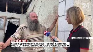Свинские условия: в Бахчисарайском районе двое фермеров живут с домашним скотом в грязи и навозе