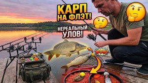 Рыбалка на Карпа на флэт и карповые монтажи летом