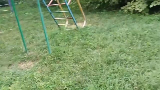собака убийца(2 часть) смотреть онлайн